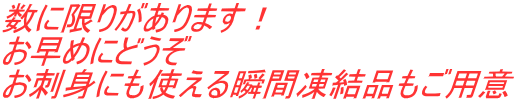 数に限りがあります！ お早めにどうぞ お刺身にも使える瞬間凍結品もご用意